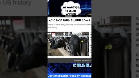Explosion kills 18000 cows in Texas
