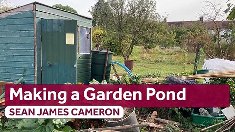 My Allotment Garden now has a Wildlife Pond