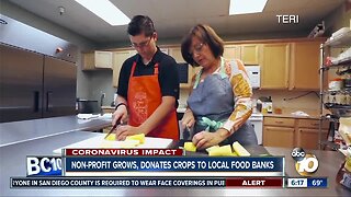 Non-profit grows, donates crops to local food banks