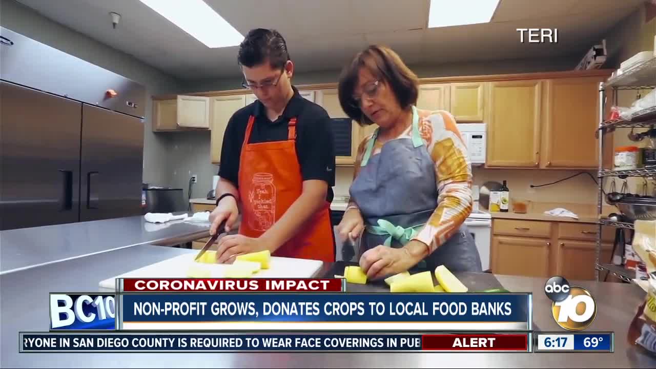 Non-profit grows, donates crops to local food banks