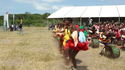 SOUTH AFRICA - Durban - Umthayi marula festival video's batch 9 (bA7)