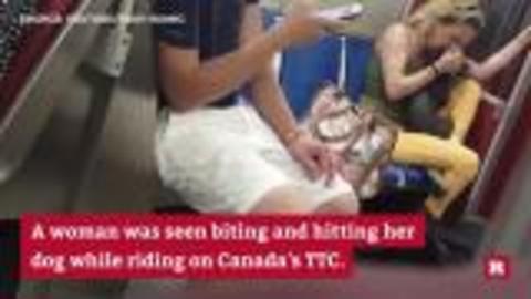 Disturbing video shows woman abusing her dog on public transit | Rare News