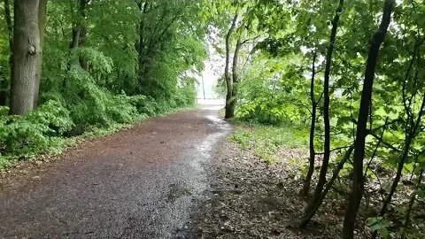 uprzejmie donoszę o mojej szczęśliwości