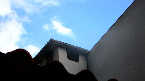 Niurose | Chamar Pra Dançar | Churrasco (01+12)