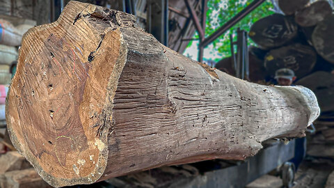 Amazing Woodworking Factory | Extreme Wood Cutting Sawmill Machines