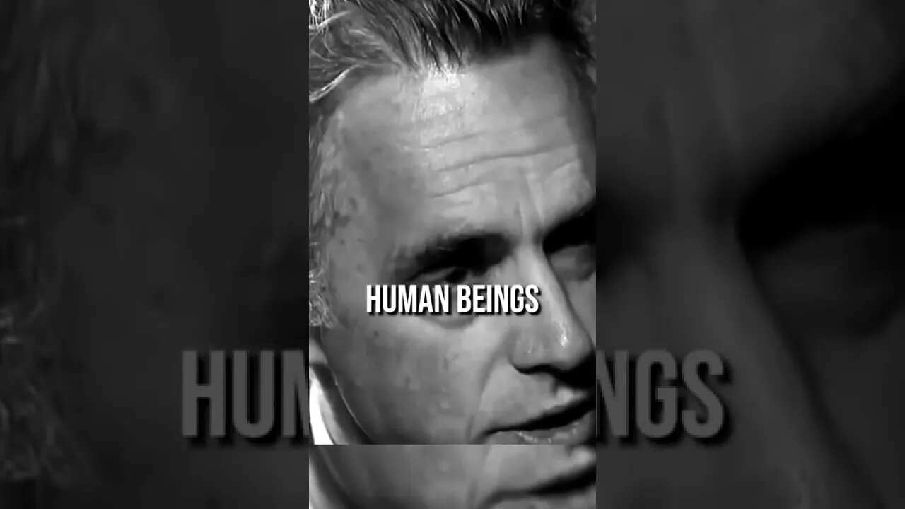 SEROTONIN WORKS : Jordan Peterson