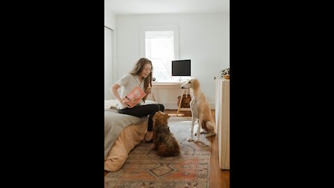 Dog Training - How to Train your Dog