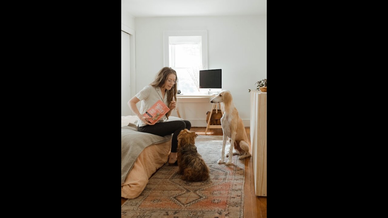 Dog Training - How to Train your Dog