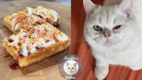 I made a delicious Belgian Waffle for breakfast 🧇😻
