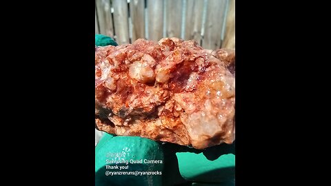 Red nodule of______?