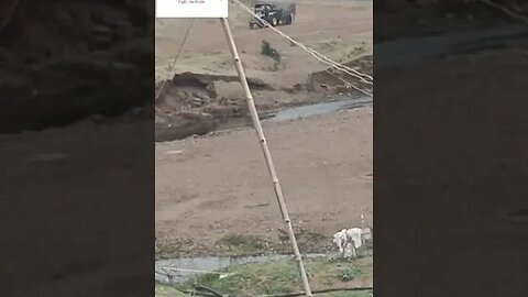 रेत माफियाओं का राज