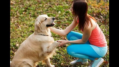 Puppy Learning and Performing Training Commands