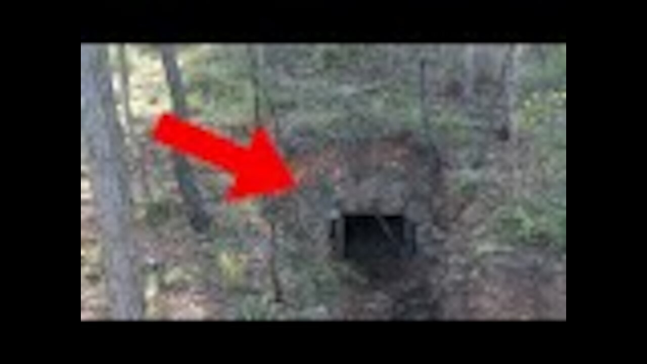 Man Finds Gold Mine On Property, Goes In And Realizes He’s Made A Huge Mistake