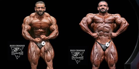 THE PERSIAN WOLF 🐺 HADI CHOOPAN