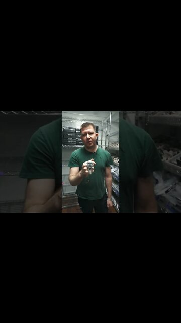 My Top 5 ROLEX Watches (with Chris) | VAULT CHECK #shorts