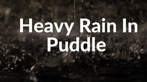 Deep Sleep Immediately With Stress & Insomnia-Relieving Heavy Rain