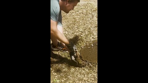 AMAZING Dog Rescues Little Girl From Ocean!