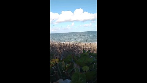 palm beach.