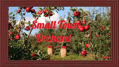 Story 20: Small Town Orchard
