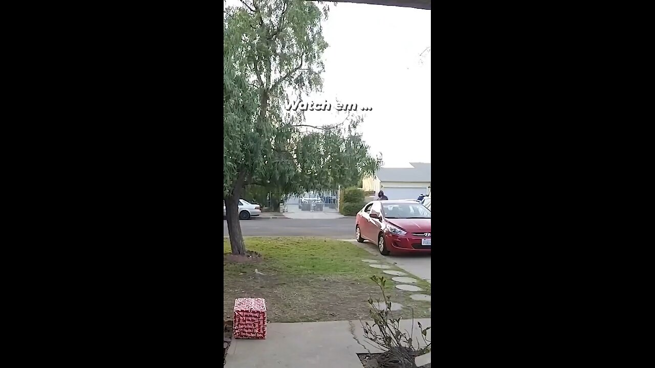Porch pirate finds out - wait for it...💀🤣