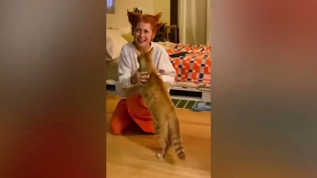 Super FUNNY CAT And THEIR OWNER VIDEOS!