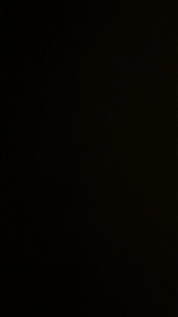 Fecal sample number 1