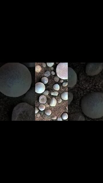 I GUARANTEE you didn't know this fact about Mars.😱✴👽#shorts #mars