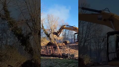 Removing Trees Dangerously Close to the House