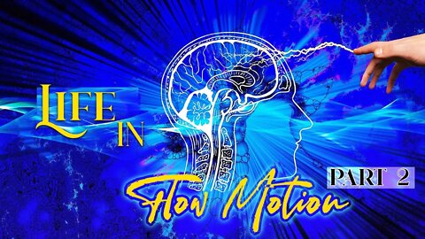 The Secret to True Happiness and Total Freedom: Flow-State Lifestyle