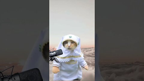 kucing lucu allahul kahfi