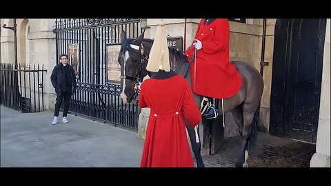 The the kings guard asking for the Sargent. look at his nose part 2 #horseguardsparade