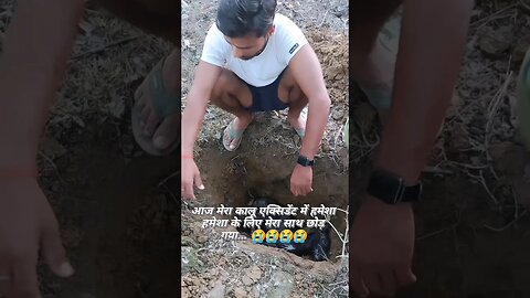 Rip my dog #Dog #ripdog #shorts #sad #sad status