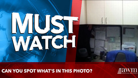 can you spot what's in this photo?