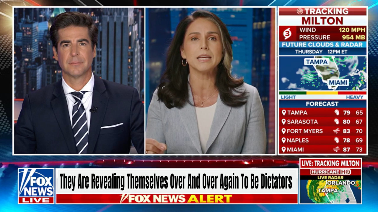 Tulsi Gabbard: They Are Revealing Themselves Over And Over Again To Be Dictators