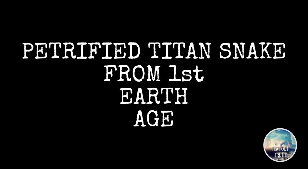 Was Everything Larger Before Us?