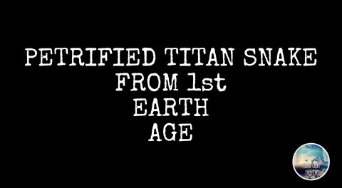 Was Everything Larger Before Us?