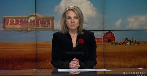 Ep.523 : CTV News coverage of the Diagolon Bees