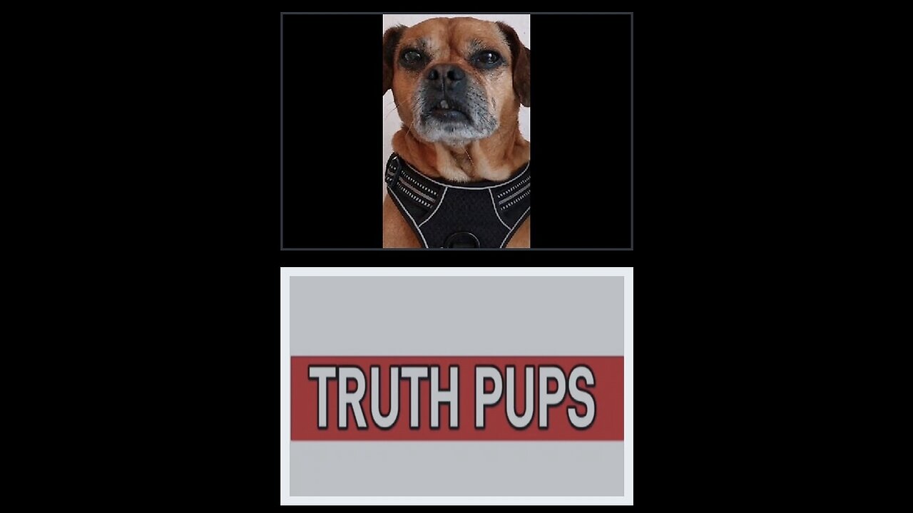 #TRUTHPUPS Behind the scenes >]: NEWS #QtheStormrider777