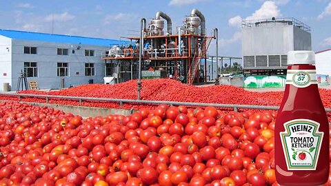 How to made Tomato katcheps in Factories | Tomato Katcheps Making & Processing | Food Factory