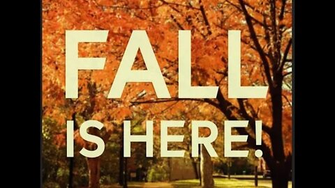 Leaves Turned in One Week This Year in KY. #shorts, #prepperboss, #leaves, #fallleaves, #autumn
