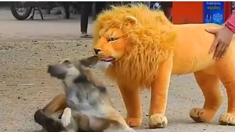 Troll Prank | Fake Lion and fake tiger prank