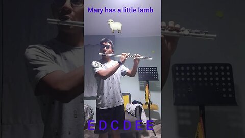 Mary has a little lamb Flute notes 🐑
