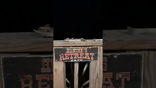 Night sounds in east TN