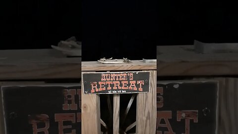 Night sounds in east TN