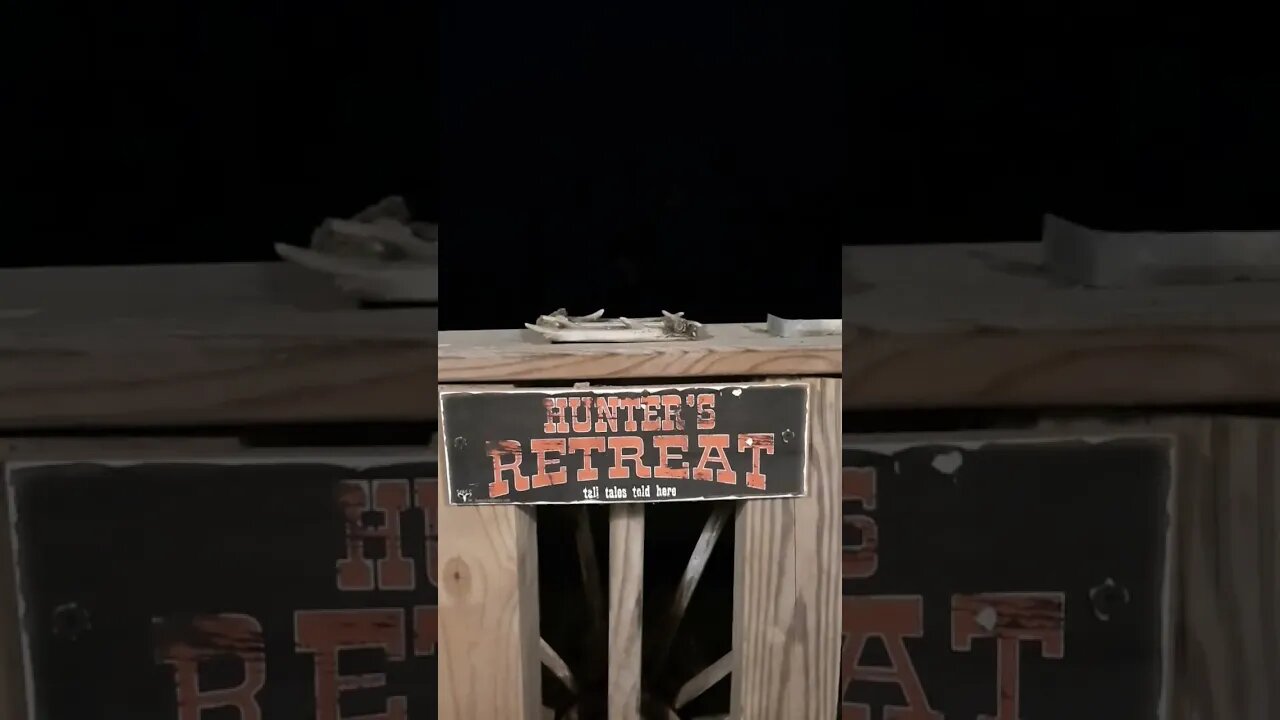 Night sounds in east TN