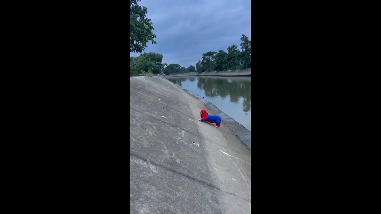 Mini Spider