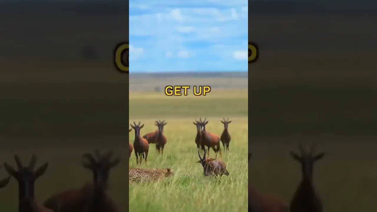 No one is coming to save you