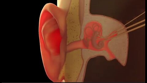 A Natural Solution for Optimal Hearing Health