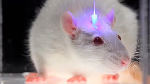 Optogenetics👀And👉The🤔Secret🔍Worldwide🌍Nanotech🔬Experiment👀💥🔥🤬