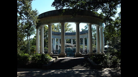 Audubon Zoo